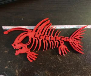 Articulated Piranhaanglerfish Skeleton 3D Models