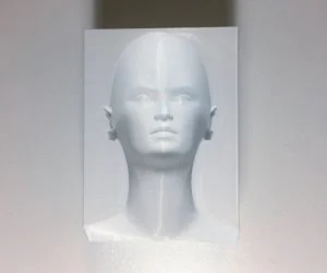 Optical Illusion Head In A Block 3D Models