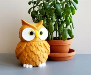 Multicolor Owl Jar 3D Models