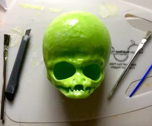 Alien Skull 3D Models