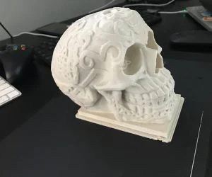Celtic Skull W Flat Base 3D Models