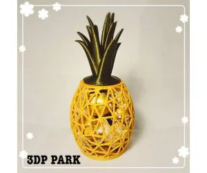 Pineapple Box 3D Models