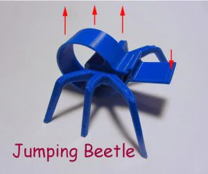 Jumping Beetle 3D Models