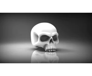 Heroic Scale Skull 28Mm 3D Models