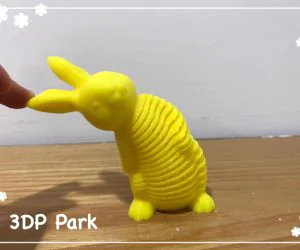 Springy Rabbit 2 3D Models