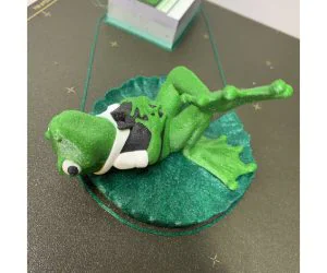 Mr J Pond: Froggy On A Lilypad 3D Models