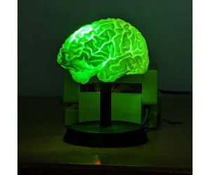 Arduino Uno Powered Rgb Led Brain Light 3D Models