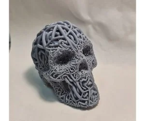 Skull Doublemesh Or Dualmesh 4 Variants Art Sla Dlp. Pack1 3D Models