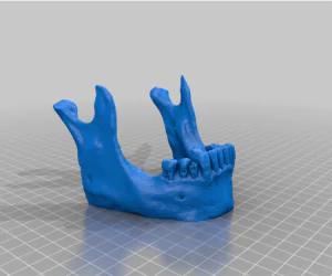 Skull Jaw Phone Tablet Business Card Stand 3D Models