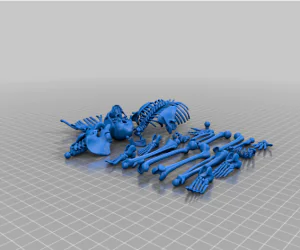 Mr. Bones 3D Models