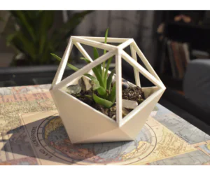 D20 Succulent Planter 3D Models