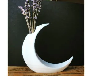 Minimalist Moon Vase 3D Models
