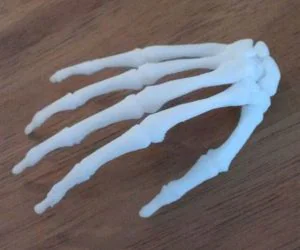 Bodyparts3D Hand Skeleton 3D Models