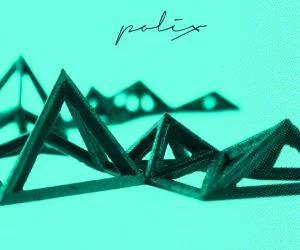 Polix Polygonal Necklace 3D Models