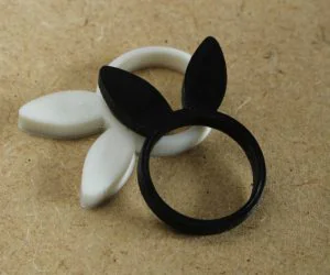 Rabbit Ring 3D Models
