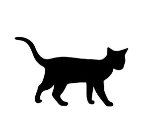 Black Cat 4 3D Models