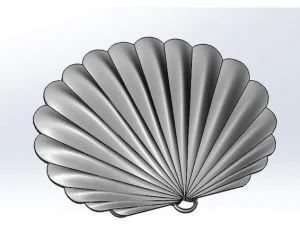 Seashell 3D Models