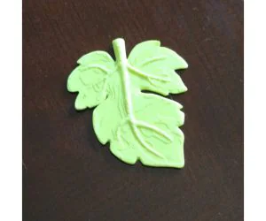 Fig Leaf 3D Models