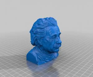 Einstein No Shoulders 3D Models