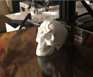 Defqon.1 Skull 3D Models