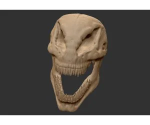 Venom Skull 3D Models