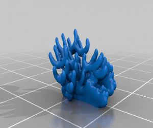 Coral 2 3D Models