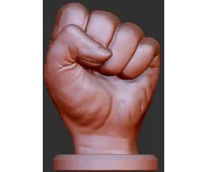 Hand Fist 3D Models