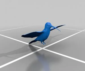 Humming Bird 3D Models