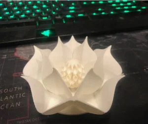Lotus With Egg 3D Models
