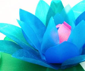 Water Lily With A Hidden Secret 3D Models