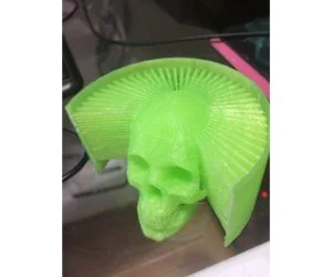 Hairly Skull 3D Models