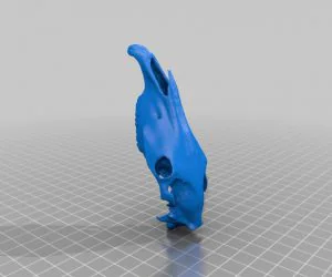 Horse Skull Symmetrical With Separate Jaw 3D Models