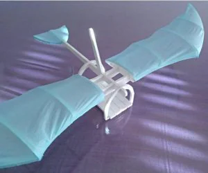 Leonardo Da Vinci Inspired Glider Single Stl Per Part 3D Models