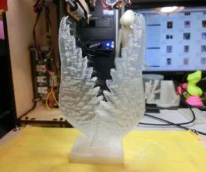Wing 3D Models