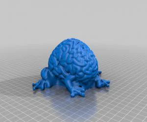 Frogbrain 3D Models