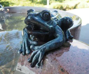 Frog From The Fountain Of Victor Tilgner 3D Models