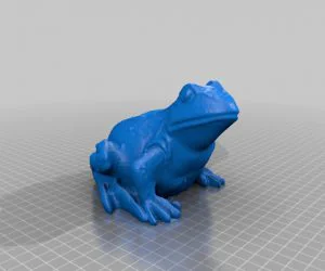 The Frog 3D Models
