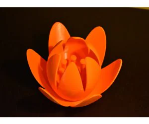 Flower 3D Models