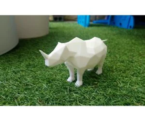 Rhino 3D Models