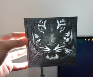 Tiger Lithopane 3D Models