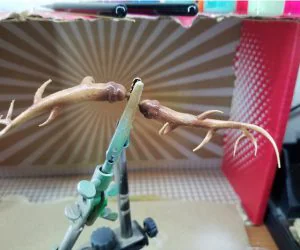 Antlers Sculpt 3D Models