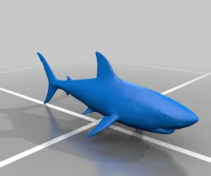 Shark 3D Models