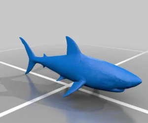 Shark 3D Models