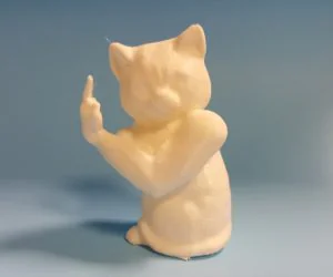 Rude Beefy Cat 3D Models