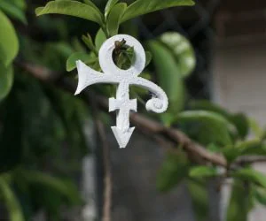 Prince Logo 3D Models