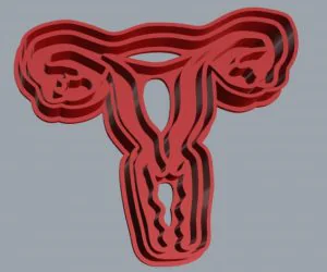 Female Reproductive System Cookie Cutter 3D Models