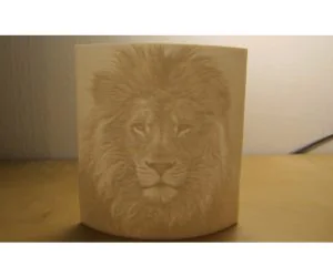 Lion Litophane 3D Models
