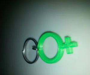 Feminist Key Ring 3D Models