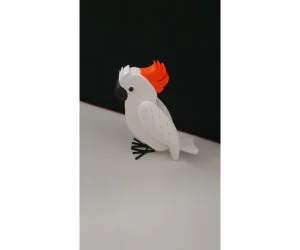 Cockatoo 3D Models