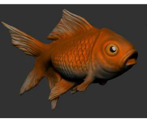 Goldfish 3D Models